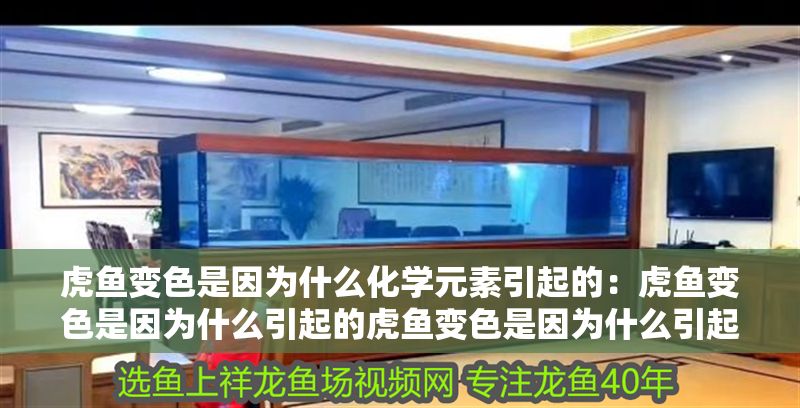 虎魚變色是因為什么化學元素引起的：虎魚變色是因為什么引起的虎魚變色是因為什么引起的