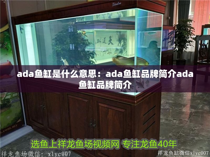ada魚缸是什么意思：ada魚缸品牌簡介ada魚缸品牌簡介