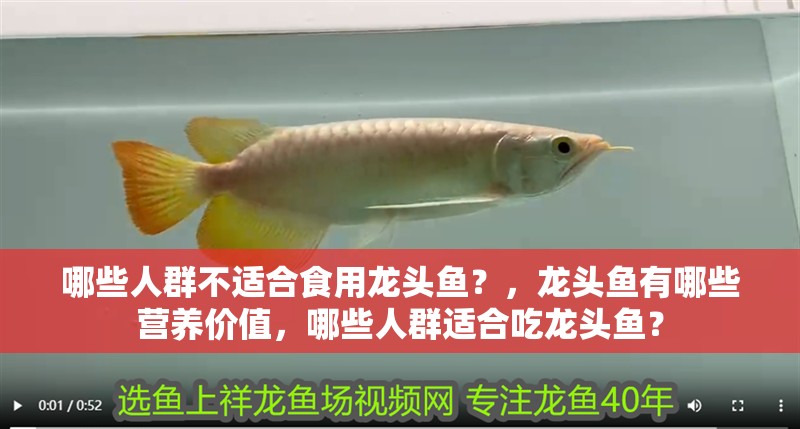 哪些人群不適合食用龍頭魚？，龍頭魚有哪些營養價值，哪些人群適合吃龍頭魚？