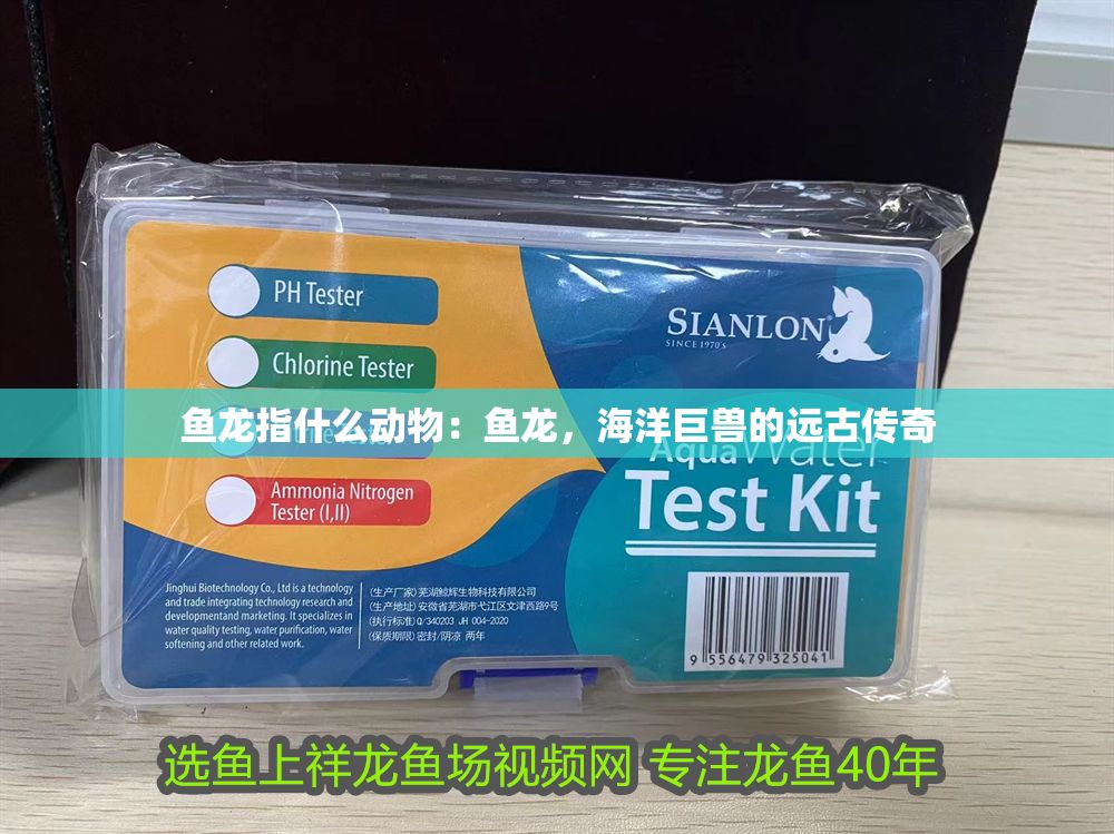 魚龍指什么動物：魚龍，海洋巨獸的遠古傳奇