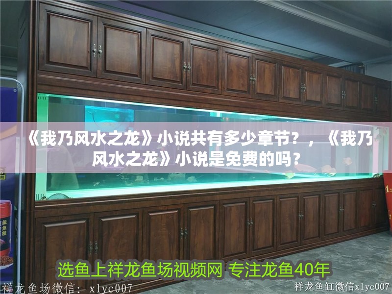 《我乃風水之龍》小說共有多少章節？，《我乃風水之龍》小說是免費的嗎？