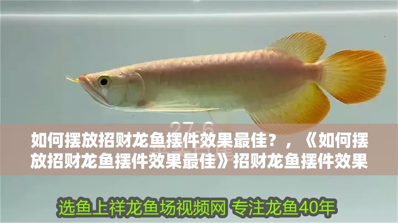 如何擺放招財龍魚擺件效果最佳？，《如何擺放招財龍魚擺件效果最佳》招財龍魚擺件效果最佳