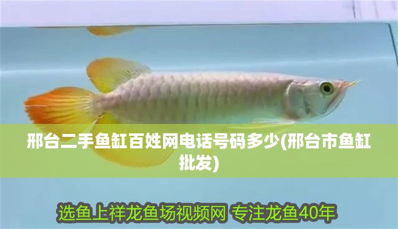 邢臺二手魚缸百姓網電話號碼多少(邢臺市魚缸批發)