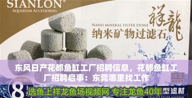 東風日產花都魚缸工廠招聘信息，花都魚缸工廠招聘啟事：東莞哪里找工作