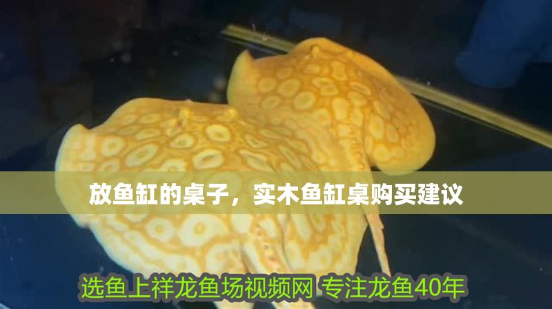放魚缸的桌子，實木魚缸桌購買建議