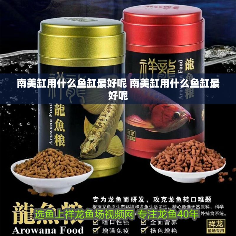 南美缸用什么魚缸最好呢 南美缸用什么魚缸最好呢