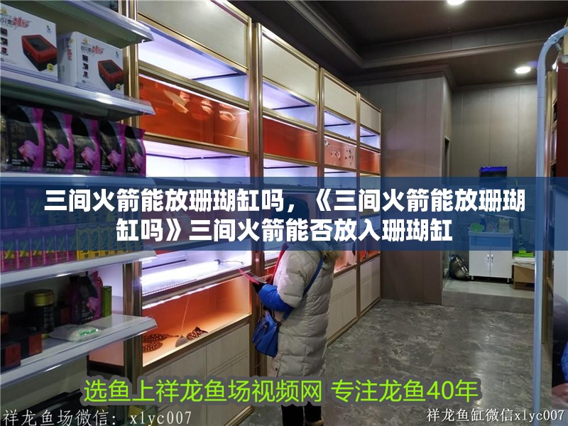 三間火箭能放珊瑚缸嗎，《三間火箭能放珊瑚缸嗎》三間火箭能否放入珊瑚缸