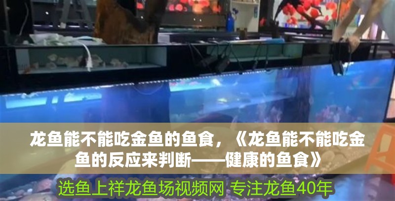 龍魚能不能吃金魚的魚食，《龍魚能不能吃金魚的反應(yīng)來判斷——健康的魚食》