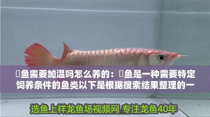 魟魚需要加溫嗎怎么養(yǎng)的：魟魚是一種需要特定飼養(yǎng)條件的魚類以下是根據(jù)搜索結(jié)果整理的一些關(guān)鍵信息