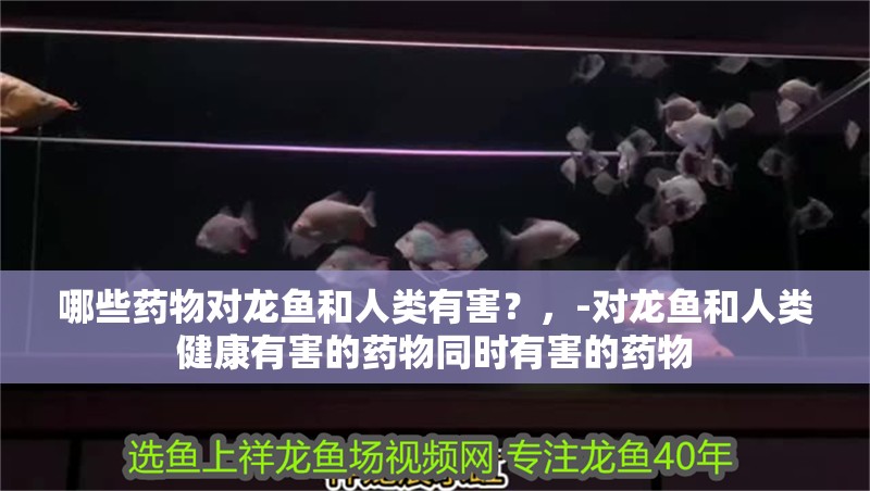 哪些藥物對(duì)龍魚(yú)和人類(lèi)有害？，-對(duì)龍魚(yú)和人類(lèi)健康有害的藥物同時(shí)有害的藥物