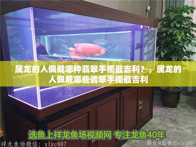 屬龍的人佩戴哪種翡翠手鐲最吉利？，屬龍的人佩戴哪些翡翠手鐲最吉利 屬龍的人佩戴哪種翡翠手鐲最吉利？，屬龍的人佩戴哪些翡翠手鐲最吉利 龍魚論壇