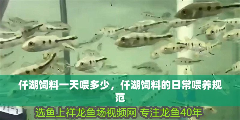 仟湖飼料一天喂多少，仟湖飼料的日常喂養規范