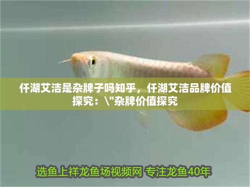 仟湖艾潔是雜牌子嗎知乎，仟湖艾潔品牌價值探究：\