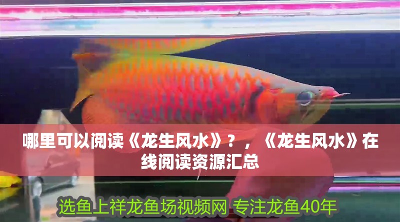 哪里可以閱讀《龍生風(fēng)水》？，《龍生風(fēng)水》在線閱讀資源匯總