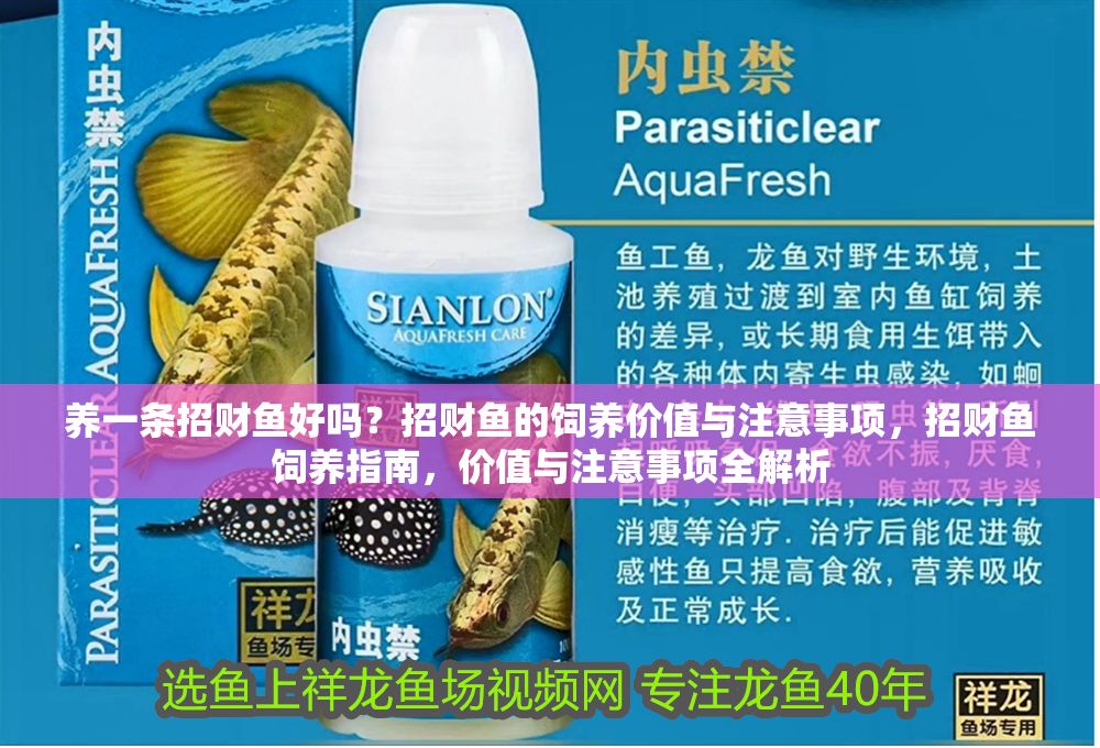 養(yǎng)一條招財(cái)魚(yú)好嗎?招財(cái)魚(yú)的飼養(yǎng)價(jià)值與注意事項(xiàng),招財(cái)魚(yú)飼養(yǎng)指南,價(jià)值與注意事項(xiàng)全解析 龍魚(yú)百科 第1張 養(yǎng)一條招財(cái)魚(yú)好嗎?招財(cái)魚(yú)的飼養(yǎng)價(jià)值與注意事項(xiàng),招財(cái)魚(yú)飼養(yǎng)指南,價(jià)值與注意事項(xiàng)全解析 養(yǎng)一條招財(cái)魚(yú)好嗎?招財(cái)魚(yú)的飼養(yǎng)價(jià)值與注意事項(xiàng),招財(cái)魚(yú)飼養(yǎng)指南,價(jià)值與注意事項(xiàng)全解析 龍魚(yú)百科 第1張