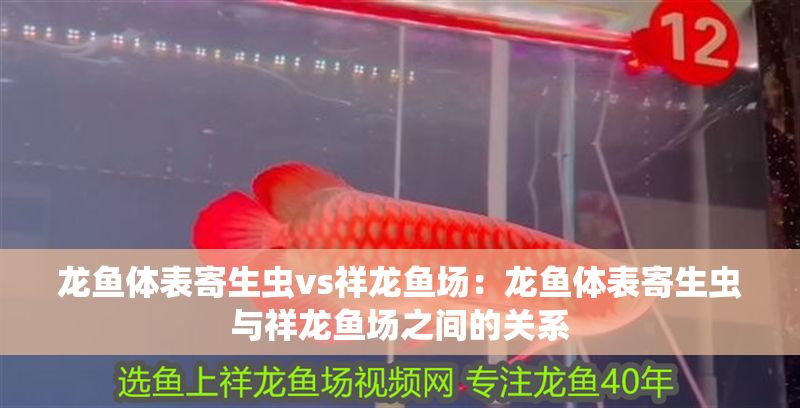 龍魚體表寄生蟲vs祥龍魚場：龍魚體表寄生蟲與祥龍魚場之間的關系
