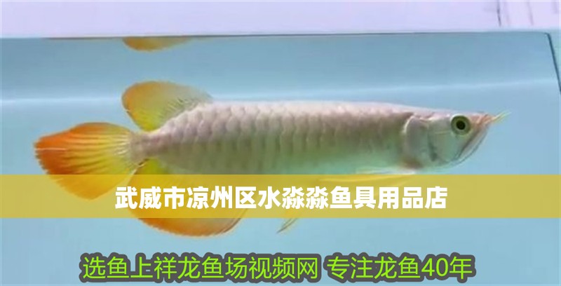武威市涼州區水淼淼魚具用品店