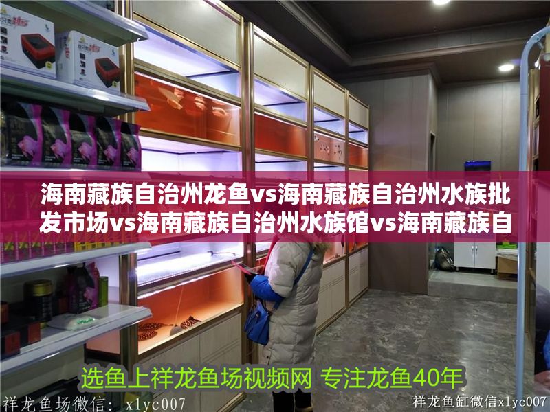 海南藏族自治州龍魚vs海南藏族自治州水族批發市場vs海南藏族自治州水族館vs海南藏族自治州魚缸批發市場vs祥龍魚場：海南水族批發市場分布