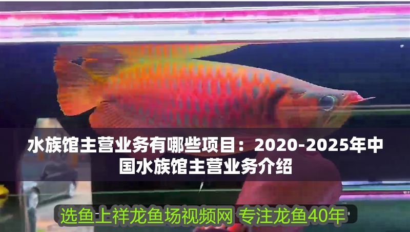 水族館主營業務有哪些項目：2020-2025年中國水族館主營業務介紹