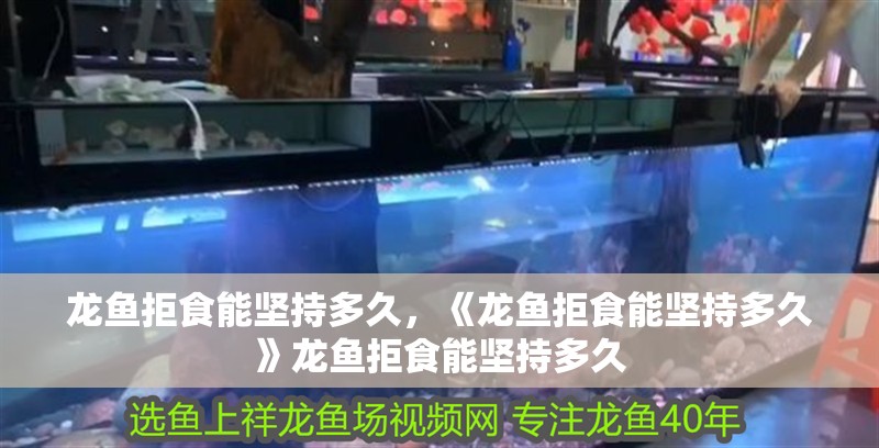 龍魚拒食能堅(jiān)持多久，《龍魚拒食能堅(jiān)持多久》龍魚拒食能堅(jiān)持多久