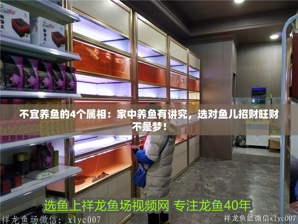 不宜養魚的4個屬相：家中養魚有講究，選對魚兒招財旺財不是夢！