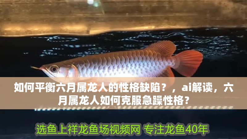 給大魚缸換水的作文:體驗給大魚缸換水的樂趣:體驗給大魚缸換水:給大魚缸換水的作文 如何平衡六月屬龍人的性格缺陷?,ai解讀,六月屬龍人如何克服急躁性格? 龍魚論壇 如何平衡六月屬龍人的性格缺陷?,ai解讀,六月屬龍人如何克服急躁性格? 如何平衡六月屬龍人的性格缺陷?,ai解讀,六月屬龍人如何克服急躁性格? 龍魚論壇