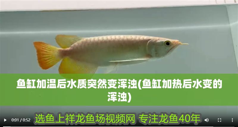 魚缸加溫后水質突然變渾濁(魚缸加熱后水變的渾濁)
