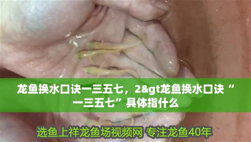 龍魚換水口訣一三五七，2&gt龍魚換水口訣“一三五七”具體指什么