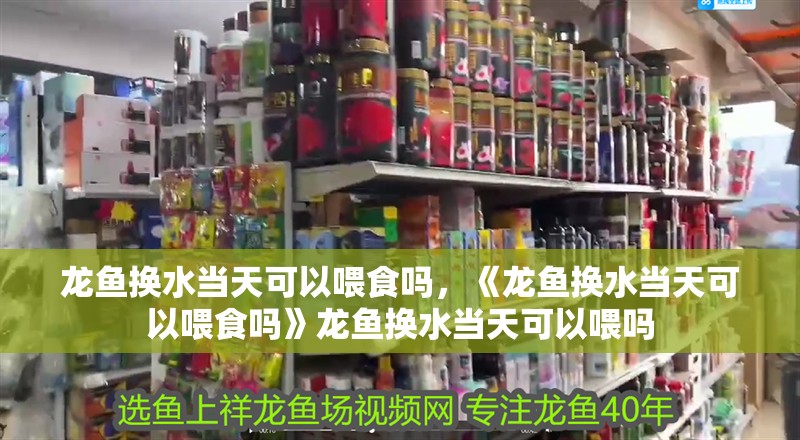 魚缸過濾器選購指南:自制魚缸過濾器魚缸上置過濾器對于養(yǎng)魚愛好者的必備知識 龍魚換水當(dāng)天可以喂食嗎,《龍魚換水當(dāng)天可以喂食嗎》龍魚換水當(dāng)天可以喂嗎 水族問答 龍魚換水當(dāng)天可以喂食嗎,《龍魚換水當(dāng)天可以喂食嗎》龍魚換水當(dāng)天可以喂嗎 龍魚換水當(dāng)天可以喂食嗎,《龍魚換水當(dāng)天可以喂食嗎》龍魚換水當(dāng)天可以喂嗎 水族問答
