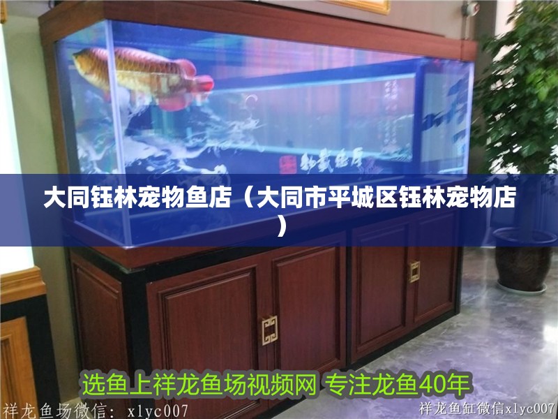 <strong><mark>大同</mark></strong>鈺林寵物魚(yú)店（<strong><mark>大同</mark></strong>市平城區(qū)鈺林寵物店）