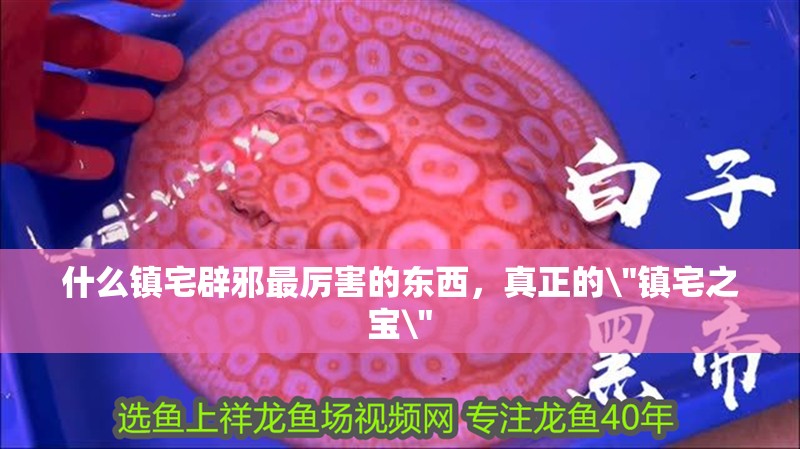 什么鎮(zhèn)宅辟邪最厲害的東西，真正的\