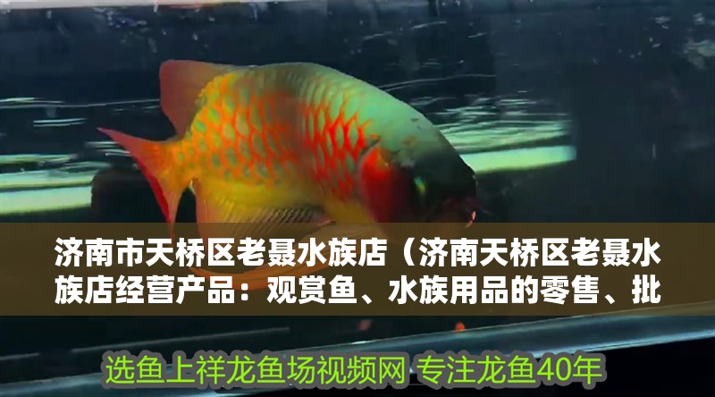 濟南市天橋區老聶水族店（濟南天橋區老聶水族店經營產品：觀賞魚、水族用品的零售、批發）