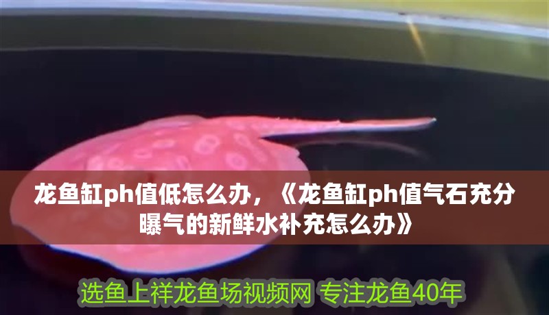龍魚缸ph值低怎么辦，《龍魚缸ph值氣石充分曝氣的新鮮水補充怎么辦》