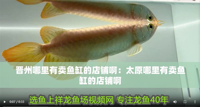 晉州哪里有賣魚(yú)缸的店鋪啊：太原哪里有賣魚(yú)缸的店鋪啊