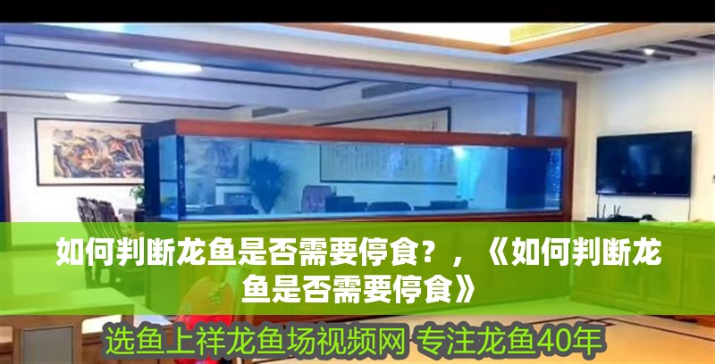 如何判斷龍魚是否需要停食？，《如何判斷龍魚是否需要停食》