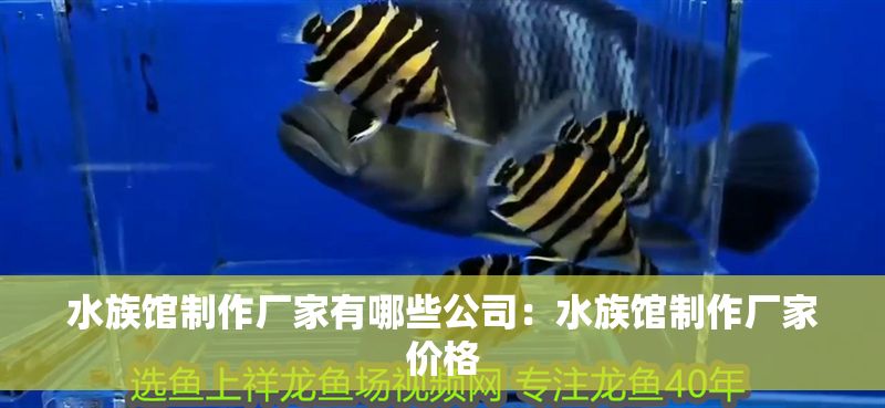 水族館制作廠家有哪些公司：水族館制作廠家價格