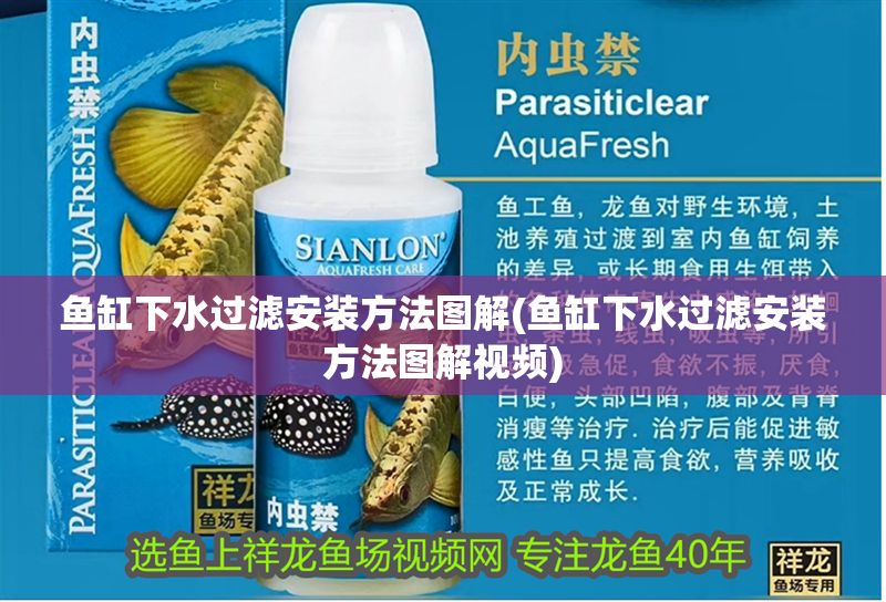 魚缸下水過濾安裝方法圖解(魚缸下水過濾安裝方法圖解視頻) 錦鯉魚百科 第1張 魚缸下水過濾安裝方法圖解(魚缸下水過濾安裝方法圖解視頻) 魚缸下水過濾安裝方法圖解(魚缸下水過濾安裝方法圖解視頻) 錦鯉魚百科 第1張