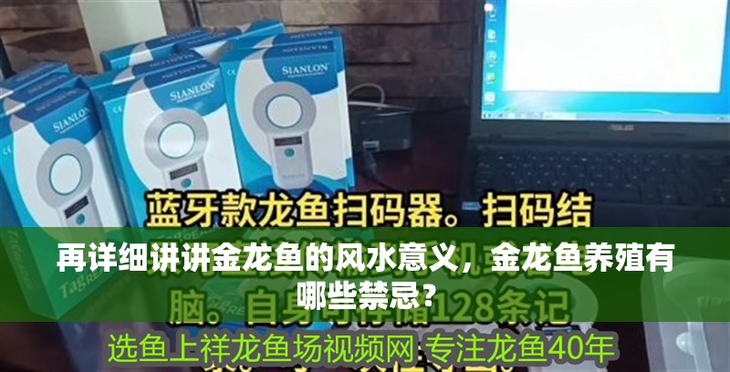 什么魚能和龍魚、虎魚混養(龍魚能和虎魚混養嗎) 再詳細講講金龍魚的風水意義,金龍魚養殖有哪些禁忌? 龍魚論壇 再詳細講講金龍魚的風水意義,金龍魚養殖有哪些禁忌? 再詳細講講金龍魚的風水意義,金龍魚養殖有哪些禁忌? 龍魚論壇