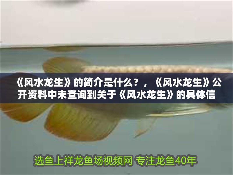 《風(fēng)水龍生》的簡介是什么？，《風(fēng)水龍生》公開資料中未查詢到關(guān)于《風(fēng)水龍生》的具體信息