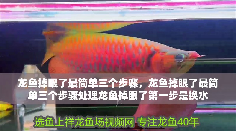 龍魚掉眼了最簡單三個步驟，龍魚掉眼了最簡單三個步驟處理龍魚掉眼了第一步是換水