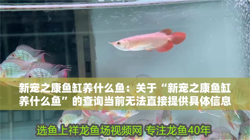新寵之康魚缸養什么魚：關于“新寵之康魚缸養什么魚”的查詢當前無法直接提供具體信息 新寵之康魚缸養什么魚：關于“新寵之康魚缸養什么魚”的查詢當前無法直接提供具體信息 魚缸百科