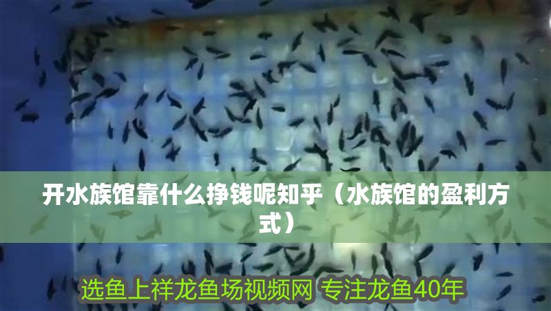 開(kāi)水族館靠什么掙錢(qián)呢知乎（水族館的盈利方式）