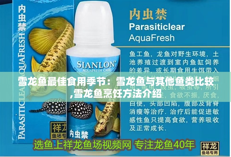 雪龍魚最佳食用季節：雪龍魚與其他魚類比較,雪龍魚烹飪方法介紹