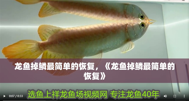 魚缸過濾器選購指南:自制魚缸過濾器魚缸上置過濾器對于養魚愛好者的必備知識 龍魚掉鱗最簡單的恢復,《龍魚掉鱗最簡單的恢復》 水族問答 龍魚掉鱗最簡單的恢復,《龍魚掉鱗最簡單的恢復》 龍魚掉鱗最簡單的恢復,《龍魚掉鱗最簡單的恢復》 水族問答