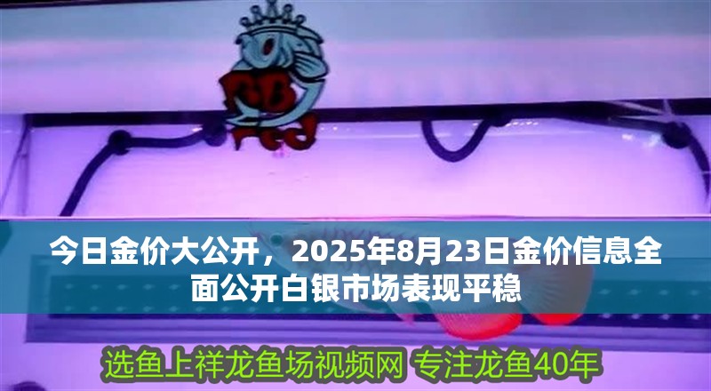 今日金價大公開，2025年8月23日金價信息全面公開白銀市場表現平穩