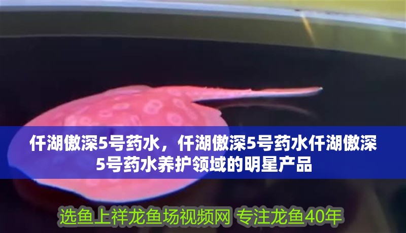 仟湖傲深5號(hào)藥水，仟湖傲深5號(hào)藥水仟湖傲深5號(hào)藥水養(yǎng)護(hù)領(lǐng)域的明星產(chǎn)品