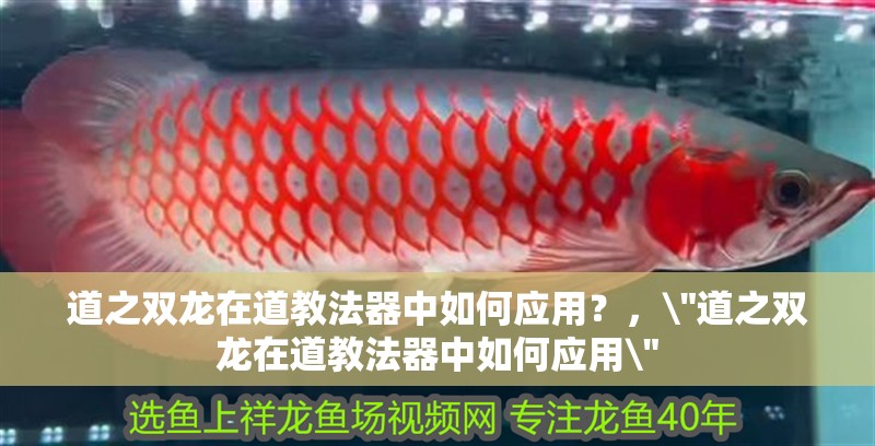 道之雙龍在道教法器中如何應(yīng)用？，\