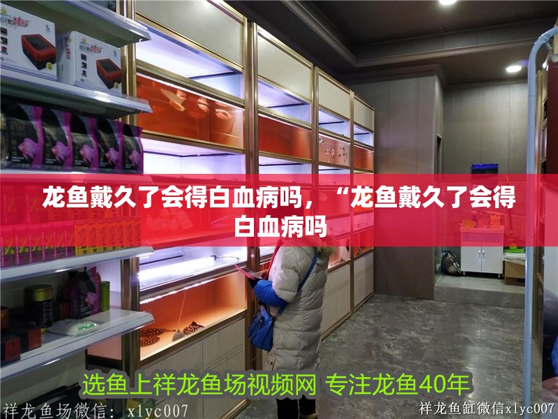 我的虎魚真菌感染了要怎么處理 龍魚戴久了會得白血病嗎,“龍魚戴久了會得白血病嗎 水族問答 龍魚戴久了會得白血病嗎,“龍魚戴久了會得白血病嗎 龍魚戴久了會得白血病嗎,“龍魚戴久了會得白血病嗎 水族問答