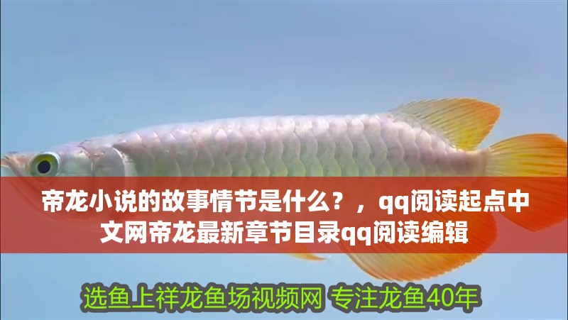 帝龍小說的故事情節是什么？，qq閱讀起點中文網帝龍最新章節目錄qq閱讀編輯 帝龍小說的故事情節是什么？，qq閱讀起點中文網帝龍最新章節目錄qq閱讀編輯 龍魚論壇