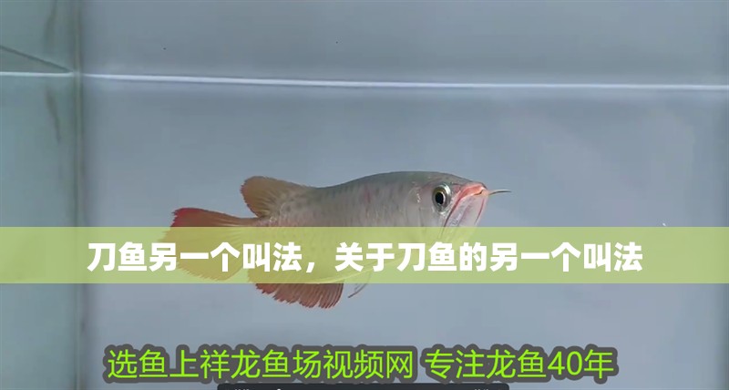刀魚另一個(gè)叫法，關(guān)于刀魚的另一個(gè)叫法